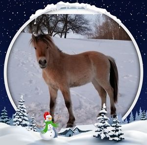 Meet your Posher, Krystal